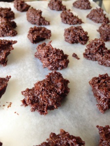 ragged robbins, no bake cookies, paleo, chocolate, coconut, little sprouts kitchen, grain free
